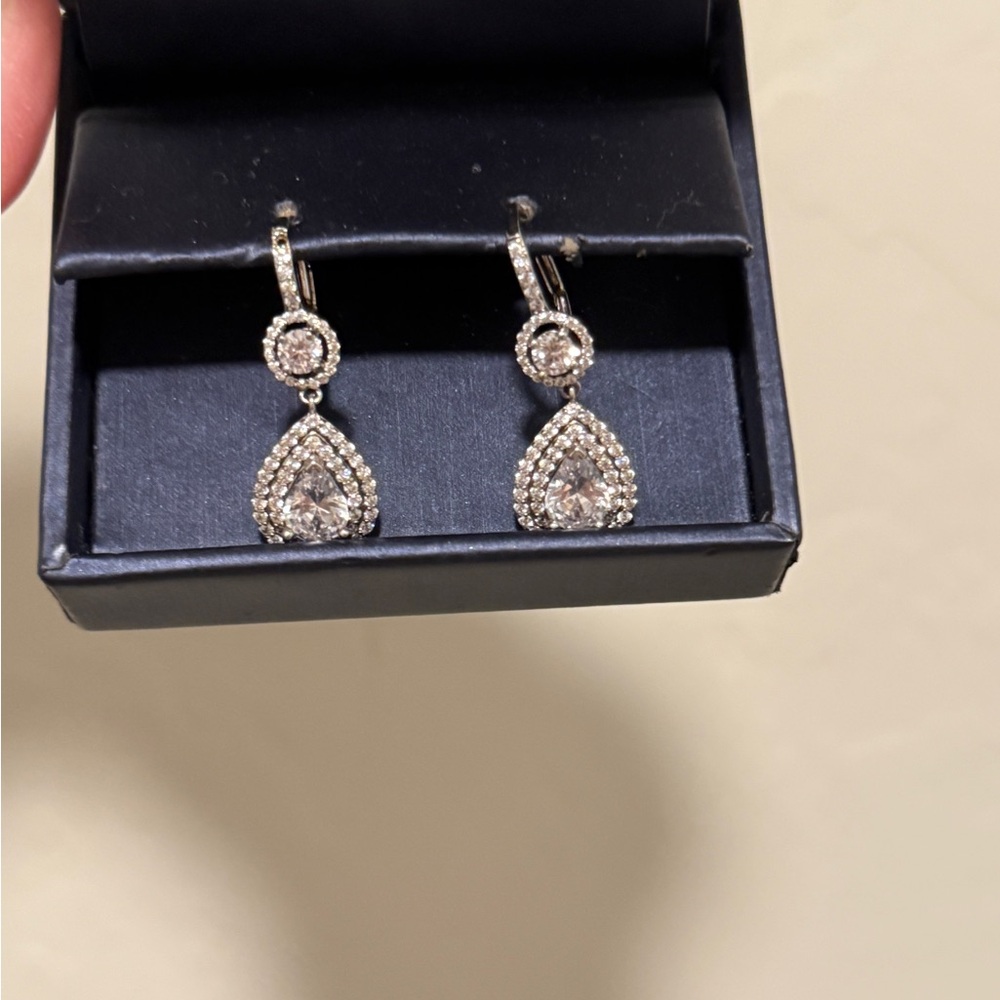 Elegant Silver drop Earrings